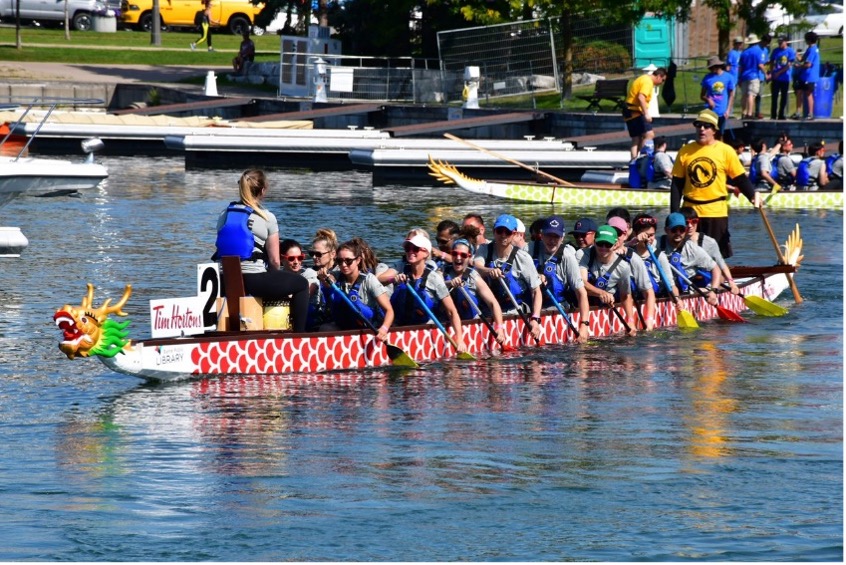 A large group of people sit in a Tim Hortons sponsored Dragon Boat and are paddling as part of the Barrie Dragon Boat Festival.